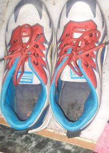 Shoes For Kids By VINTEX