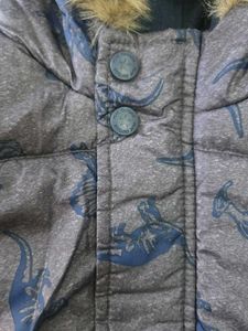 Boys Dinosaur Padded Jacket