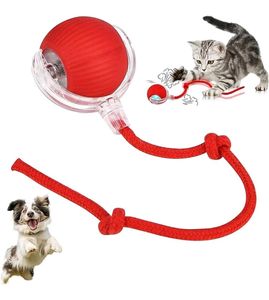 Interactive Pet Toy