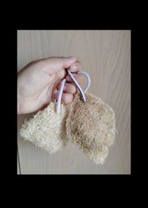 Natural Loofah Sponges