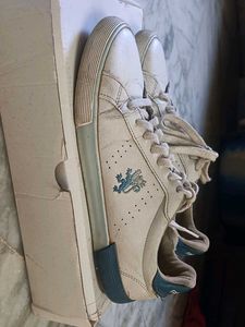 Vintage Sneakers