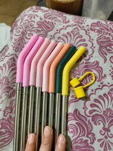 House Of Quirk Stainless Steel Straw With Cap