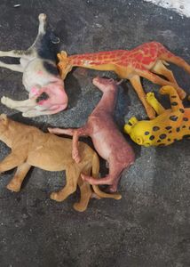 Animal Set Of 5 In One Pack