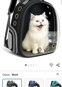 Pet Bag