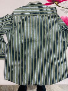 Octave M Size Green Lining Shirt Chest 38 Inch Cotton Fabric