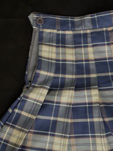 Pleated Skirt