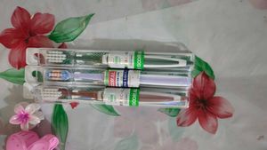 GOORAL Toothbrush Packof 1