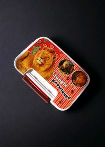 Regular Kids Tiffin