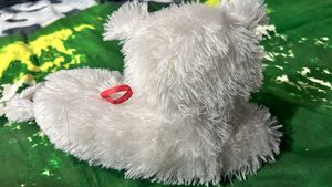 Pink Plush Dog Toy