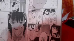 A Bittersweet Romance Novel