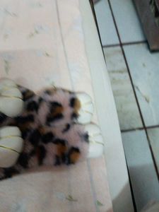 beautiful sling animal print beg