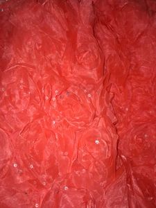 Peach organza skirt with rose floral Design