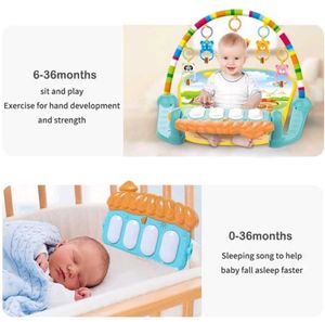 Play Gym Mat