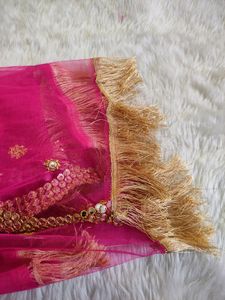 New Net Embroidery Paper Mirror Duppata