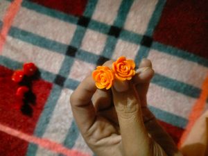 Combo Of Ear Studs