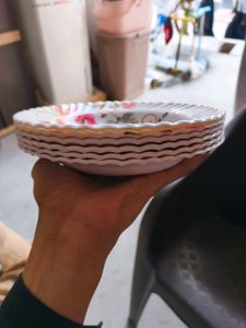 Floral Dinner (6 Plate Set)
