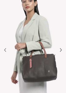Baggit Handbag