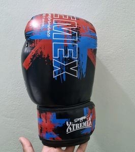 Xtreme MMA/boxing/kick boxing gloves 12oz
