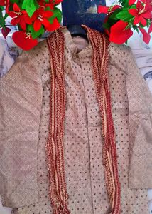 Men Sherwani Festive Wear