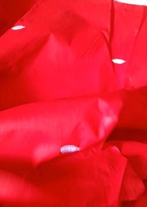Durga Puja Special Saree