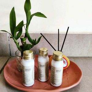 Forest Essentials Body Lotion(3 bottle pack)