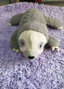 Pet Toy