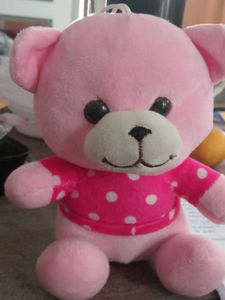 Pink Teddy Bear Plush