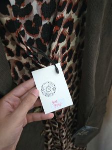 Collared Leopard Print Dress