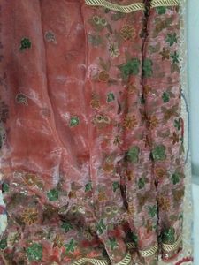 Beautiful delicate Organza embroidery saree