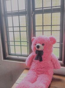 Pink Teddy Bear