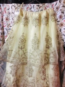Expensive Lehenga