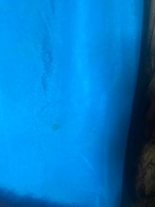 Pure Handloom Silk Saree