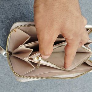 Louise Viuton Pouch For Womens