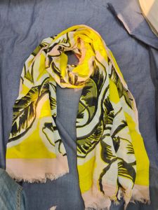 Striped Scarf