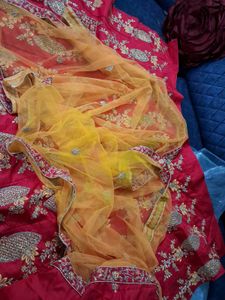 Pink Embroidered Lehenga Choli