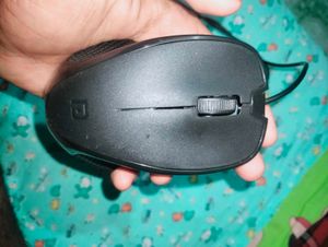 Mouse