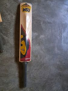 Small Cricket Bat