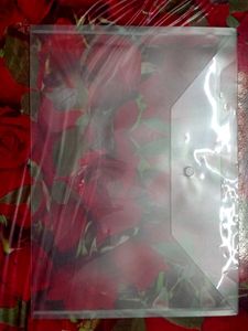 CLIP CLEAR FILES