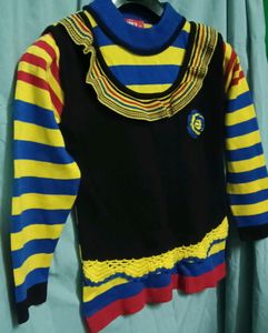 Beautiful Women Woolen Sweater In Multicolour