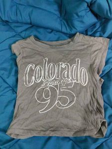 H&m crop grey Colorado Springs Tee