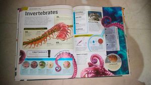 General Knowledge Genius Book