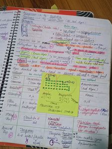 Neet Handwritten Notes In Classmate Spiral Notebook