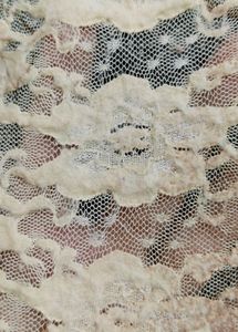 Lace Plus Size Top