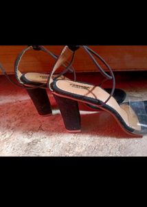 Stylish Black Hills