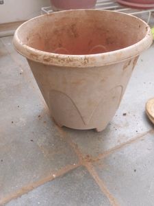Pot With Soil And Composed