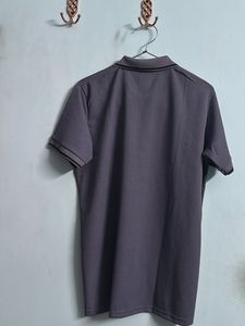 Allen Solly Men’s Polo T-shirt Brand New