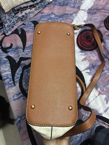 Lavie Signature Edition