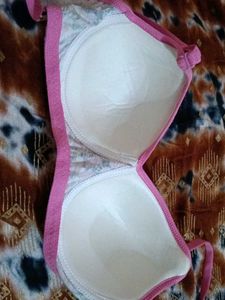 Lingerie Seal