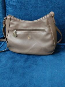 Baggit Bag
