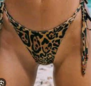 Animal Print 🐾